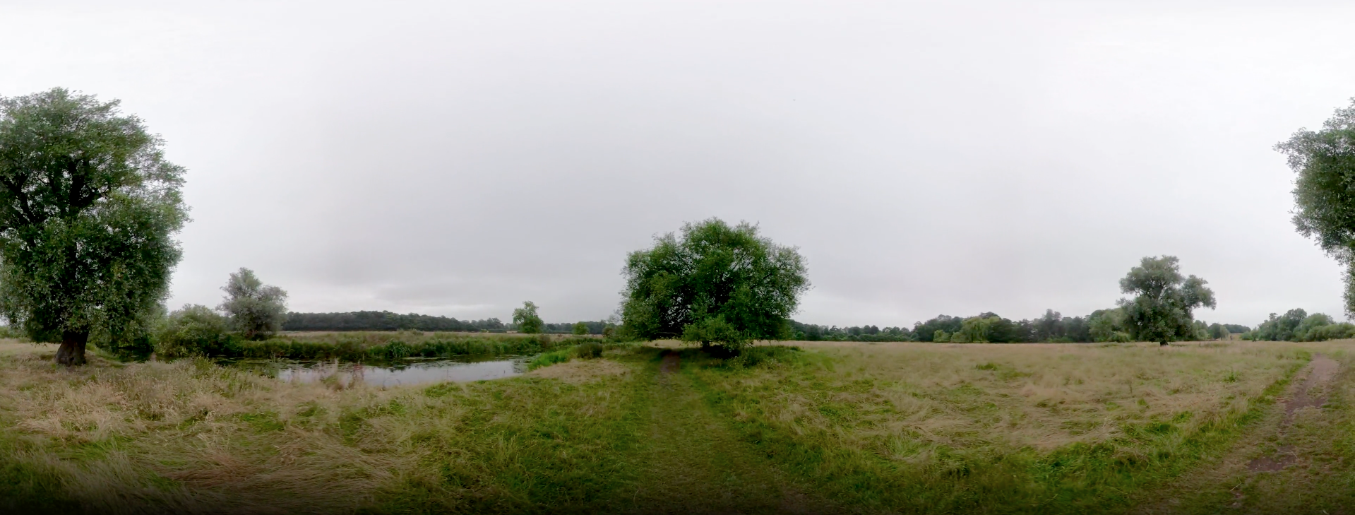 A 360 video still of a riverside scene with a grey sky and still water in an open field with long grass